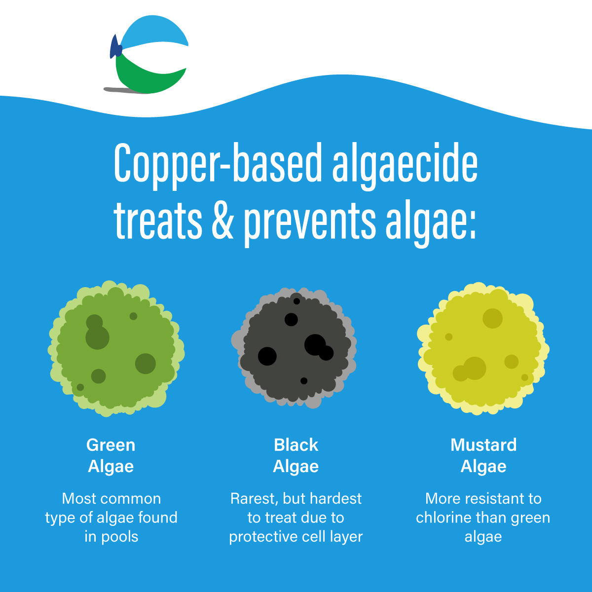 Icons that visually convey algae-free pool water after usage. Icons of Green Algae, Black Algae, and Mustard Algae