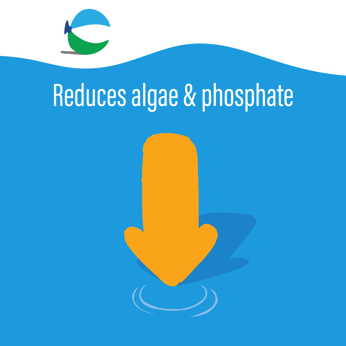 Large downward arrow with claim saying "Reduces algae and phosphate"