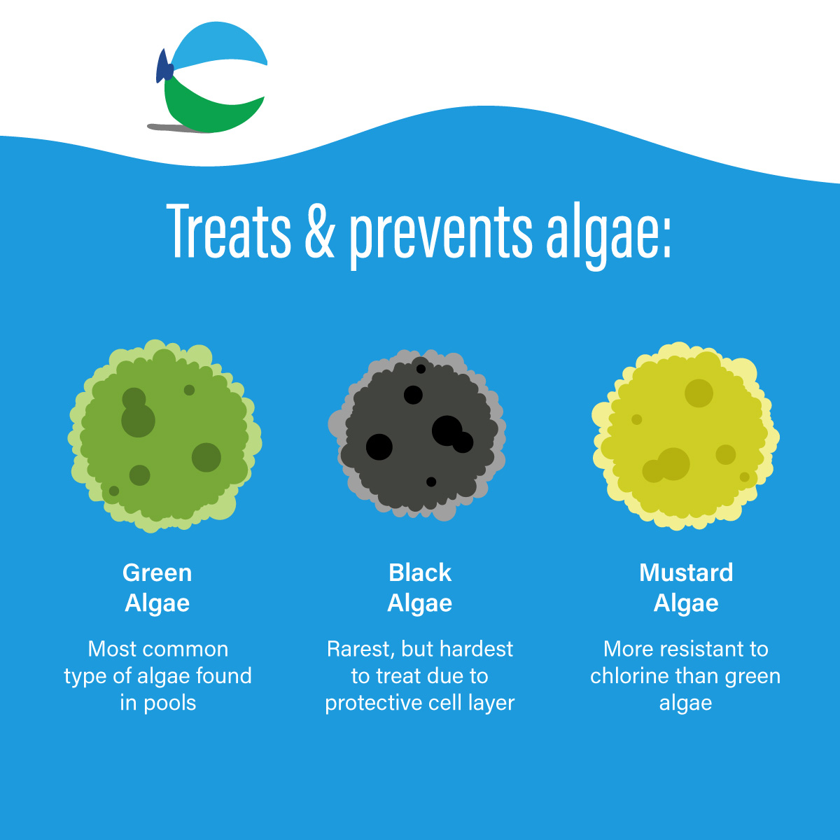 Icons that visually convey algae-free pool water after usage. Icons of Green Algae, Black Algae, and Mustard Algae